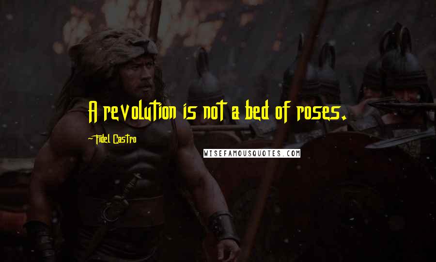 Fidel Castro Quotes: A revolution is not a bed of roses.