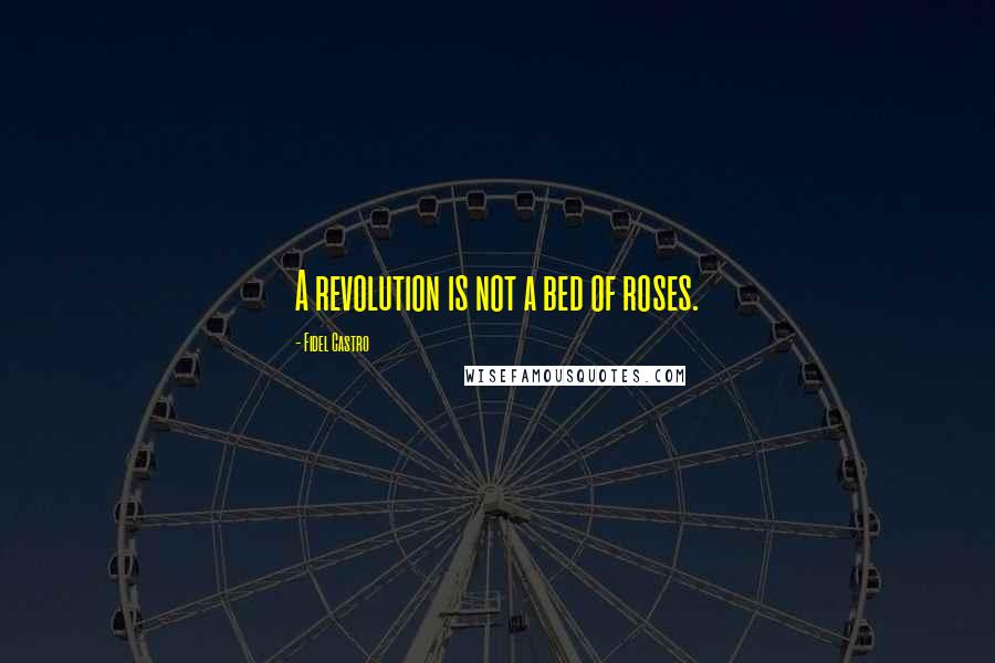 Fidel Castro Quotes: A revolution is not a bed of roses.