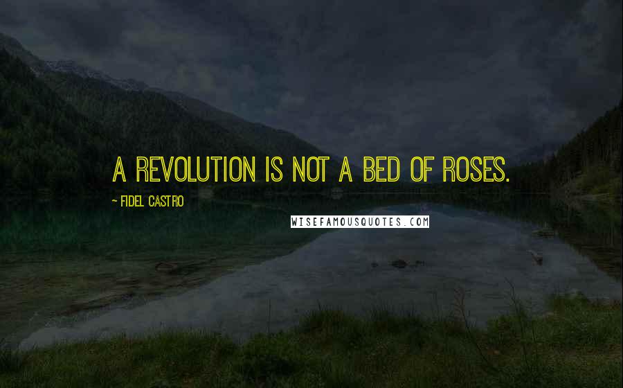 Fidel Castro Quotes: A revolution is not a bed of roses.