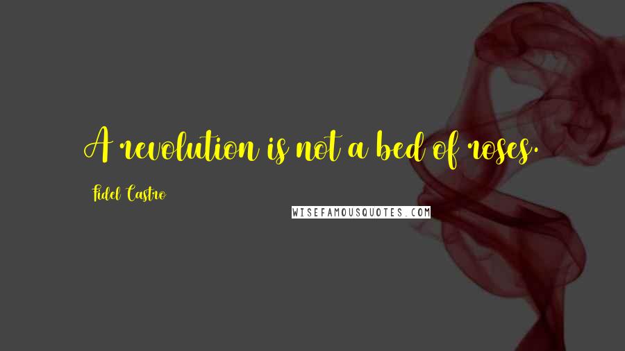 Fidel Castro Quotes: A revolution is not a bed of roses.