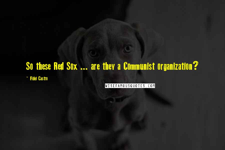 Fidel Castro Quotes: So these Red Sox ... are they a Communist organization?