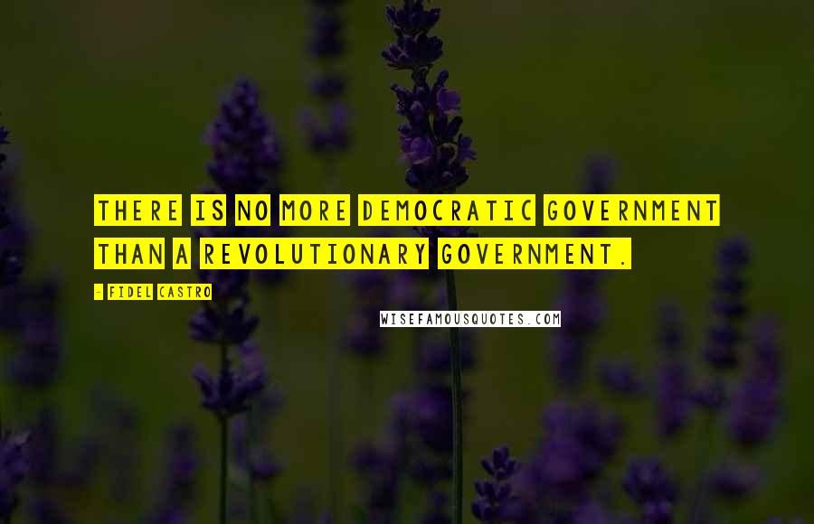 Fidel Castro Quotes: There is no more democratic government than a revolutionary government.