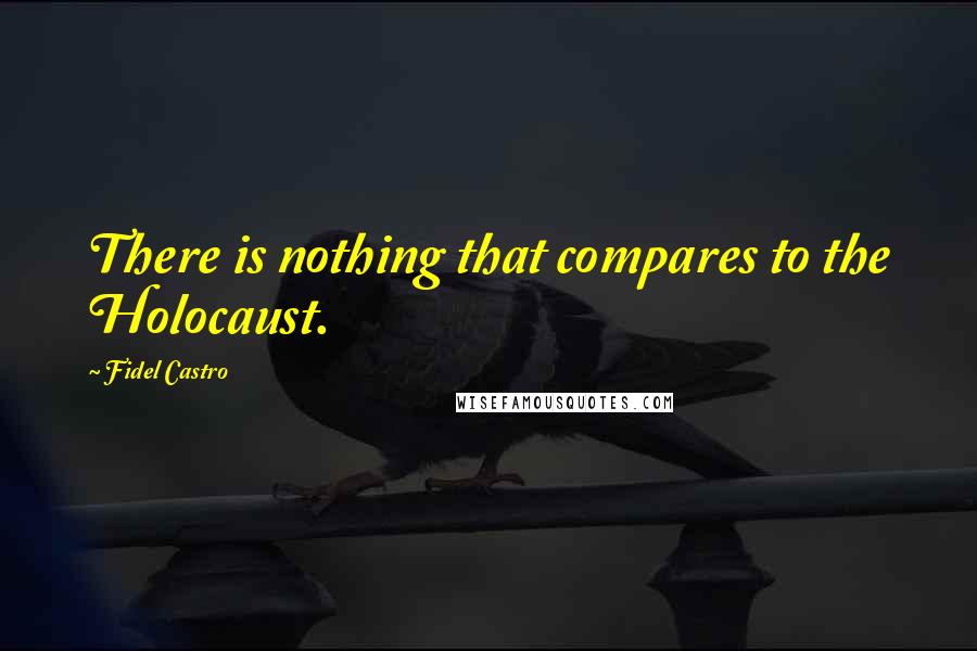 Fidel Castro Quotes: There is nothing that compares to the Holocaust.