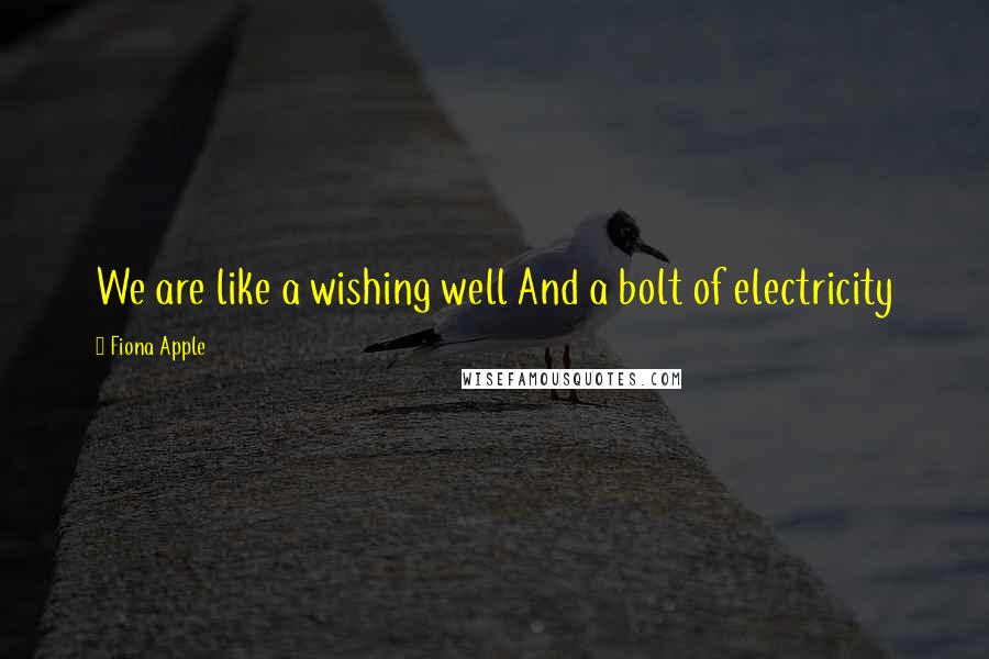 Fiona Apple Quotes: We are like a wishing well And a bolt of electricity