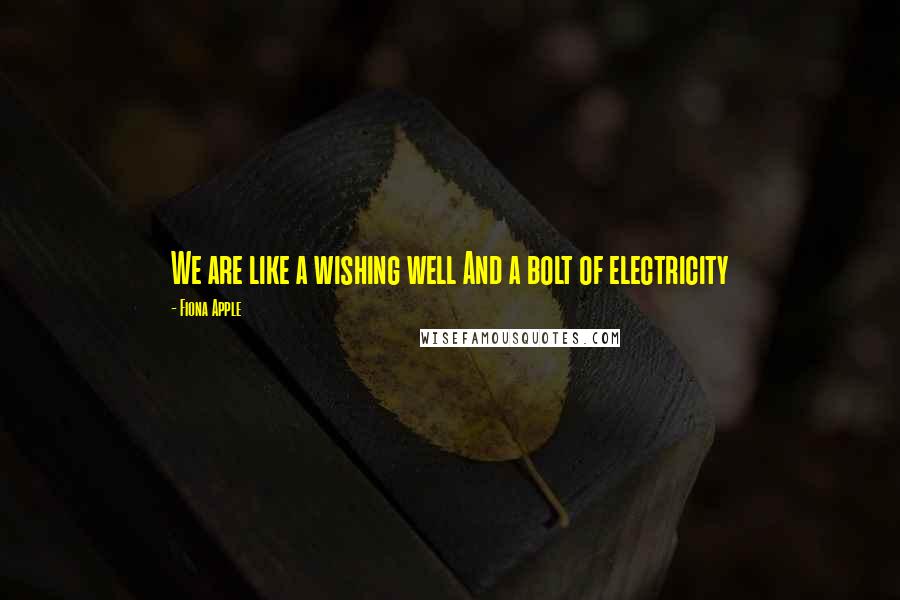 Fiona Apple Quotes: We are like a wishing well And a bolt of electricity