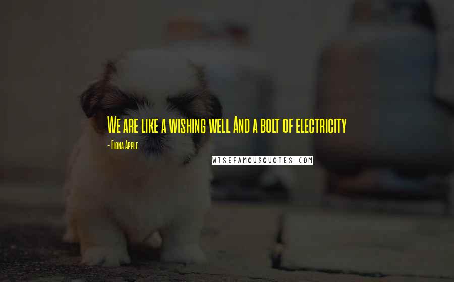 Fiona Apple Quotes: We are like a wishing well And a bolt of electricity