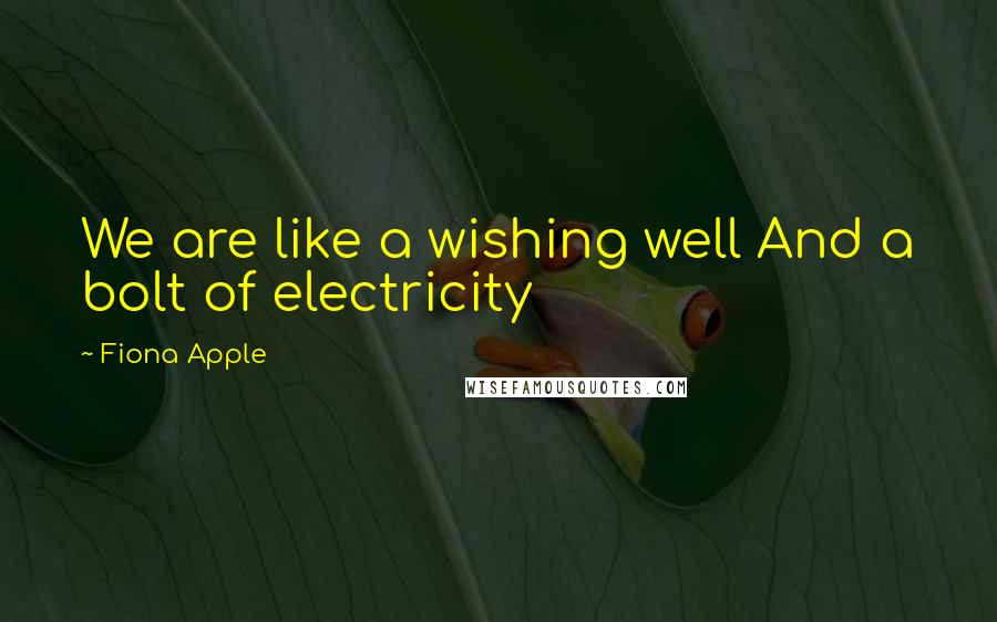 Fiona Apple Quotes: We are like a wishing well And a bolt of electricity