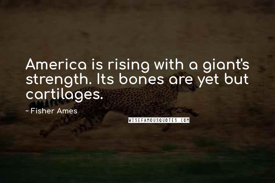 Fisher Ames Quotes: America is rising with a giant's strength. Its bones are yet but cartilages.