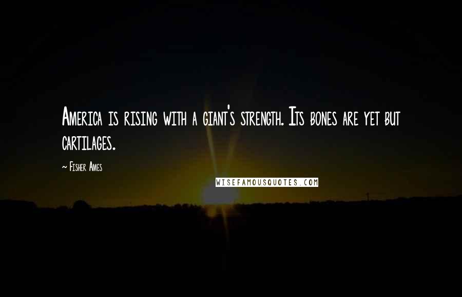 Fisher Ames Quotes: America is rising with a giant's strength. Its bones are yet but cartilages.