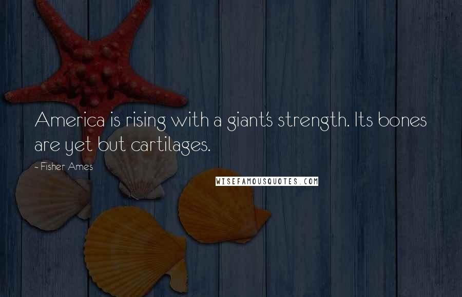Fisher Ames Quotes: America is rising with a giant's strength. Its bones are yet but cartilages.