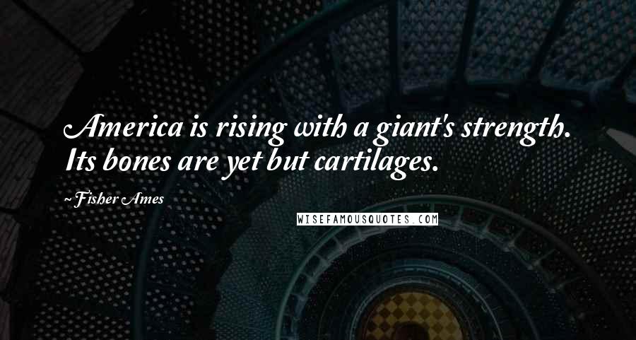 Fisher Ames Quotes: America is rising with a giant's strength. Its bones are yet but cartilages.