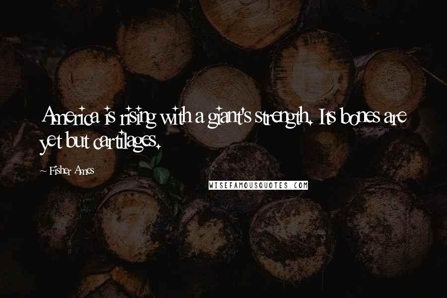 Fisher Ames Quotes: America is rising with a giant's strength. Its bones are yet but cartilages.
