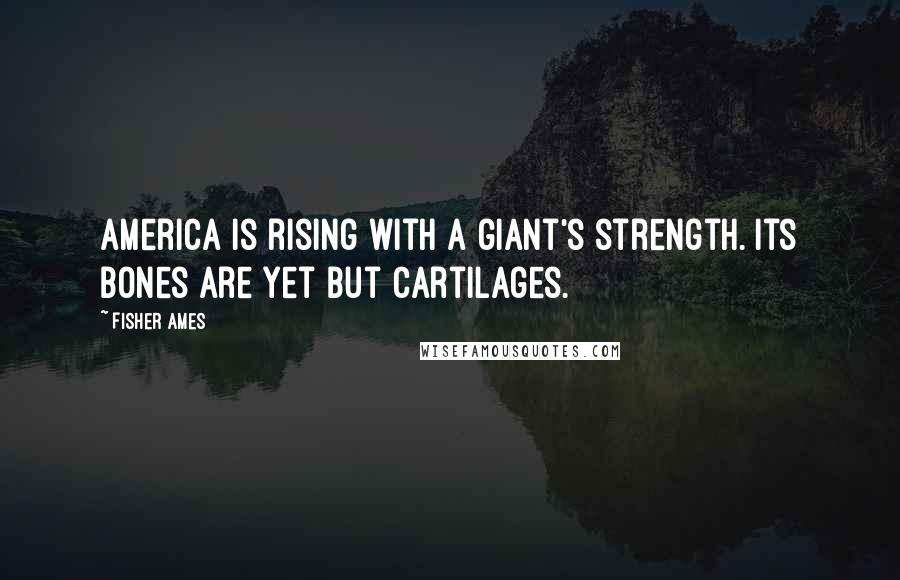 Fisher Ames Quotes: America is rising with a giant's strength. Its bones are yet but cartilages.