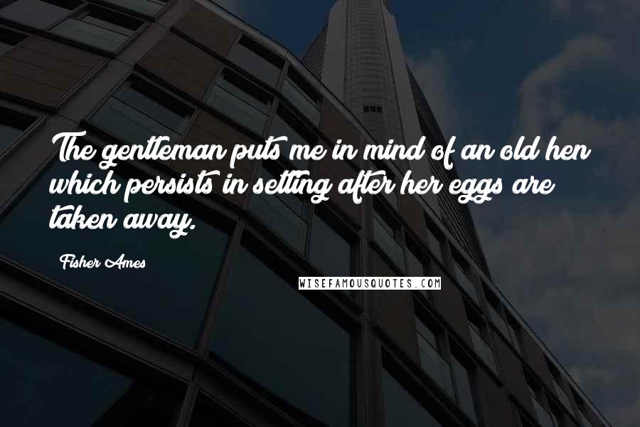 Fisher Ames Quotes: The gentleman puts me in mind of an old hen which persists in setting after her eggs are taken away.