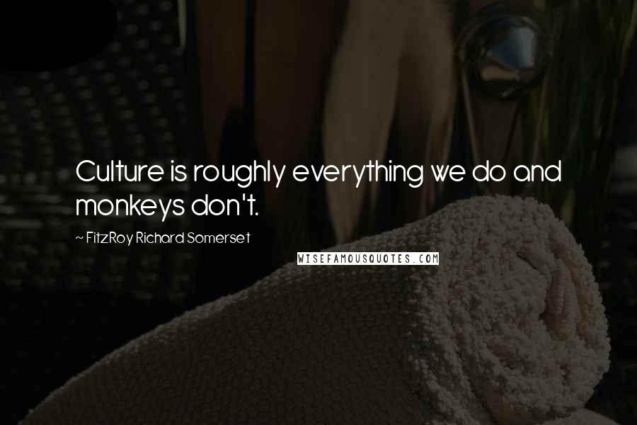 FitzRoy Richard Somerset Quotes: Culture is roughly everything we do and monkeys don't.