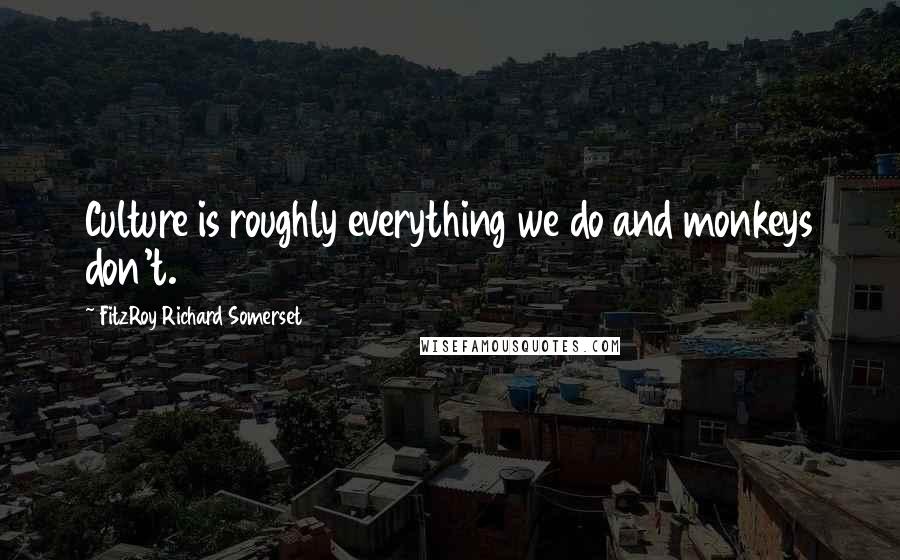 FitzRoy Richard Somerset Quotes: Culture is roughly everything we do and monkeys don't.