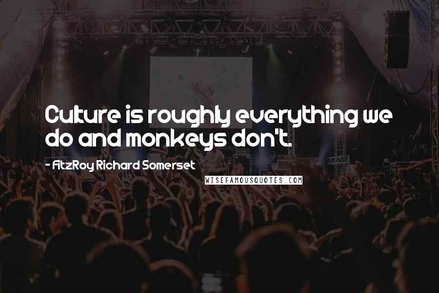 FitzRoy Richard Somerset Quotes: Culture is roughly everything we do and monkeys don't.