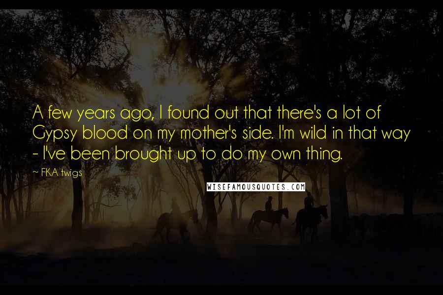 FKA Twigs Quotes: A few years ago, I found out that there's a lot of Gypsy blood on my mother's side. I'm wild in that way - I've been brought up to do my own thing.
