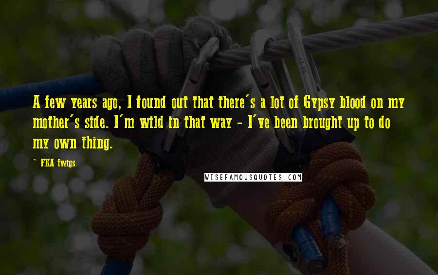 FKA Twigs Quotes: A few years ago, I found out that there's a lot of Gypsy blood on my mother's side. I'm wild in that way - I've been brought up to do my own thing.