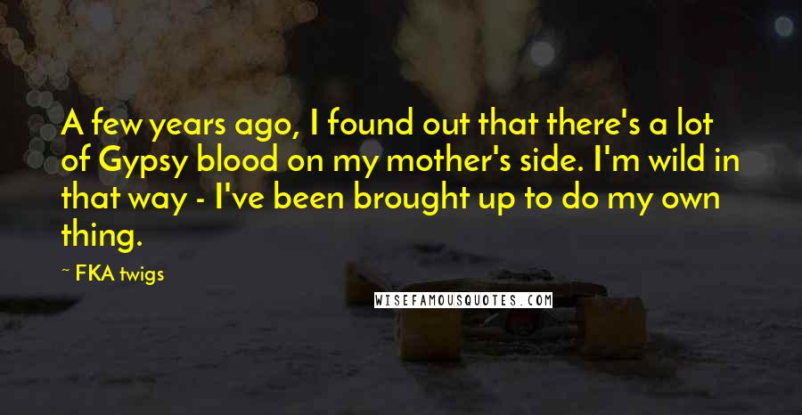 FKA Twigs Quotes: A few years ago, I found out that there's a lot of Gypsy blood on my mother's side. I'm wild in that way - I've been brought up to do my own thing.