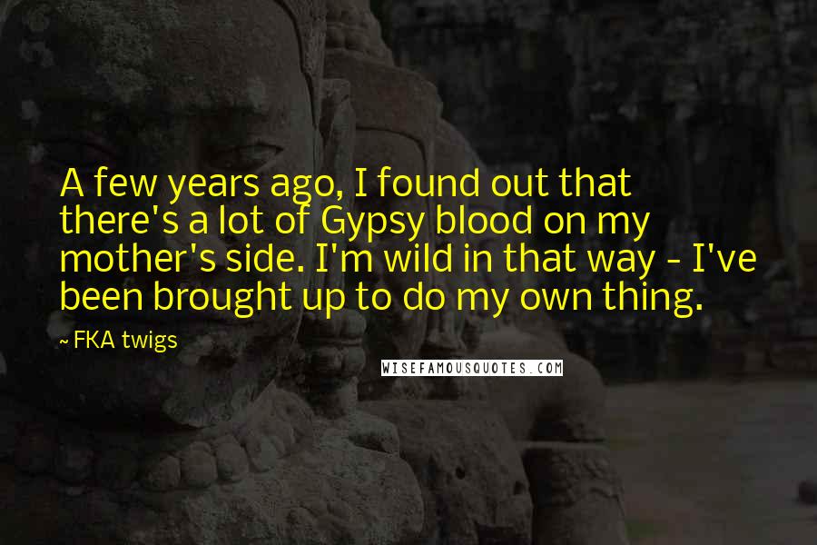 FKA Twigs Quotes: A few years ago, I found out that there's a lot of Gypsy blood on my mother's side. I'm wild in that way - I've been brought up to do my own thing.