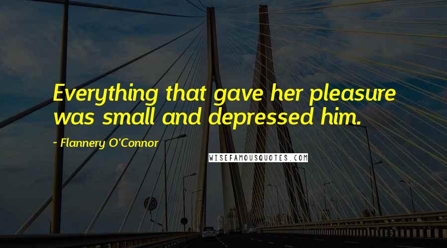 Flannery O'Connor Quotes: Everything that gave her pleasure was small and depressed him.