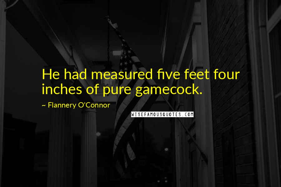 Flannery O'Connor Quotes: He had measured five feet four inches of pure gamecock.