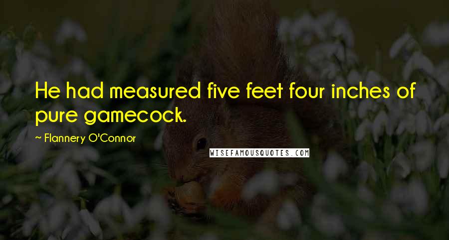 Flannery O'Connor Quotes: He had measured five feet four inches of pure gamecock.