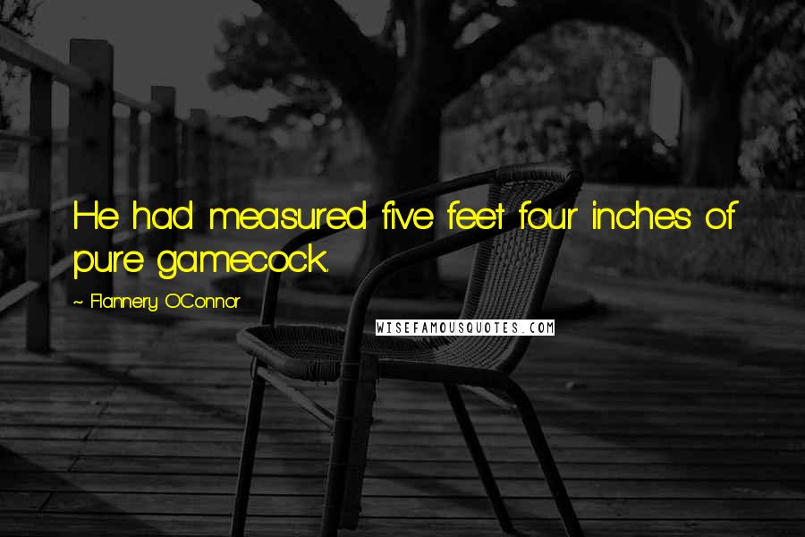 Flannery O'Connor Quotes: He had measured five feet four inches of pure gamecock.