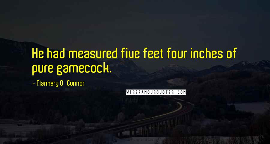 Flannery O'Connor Quotes: He had measured five feet four inches of pure gamecock.