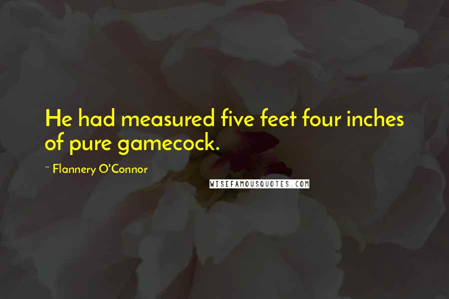 Flannery O'Connor Quotes: He had measured five feet four inches of pure gamecock.