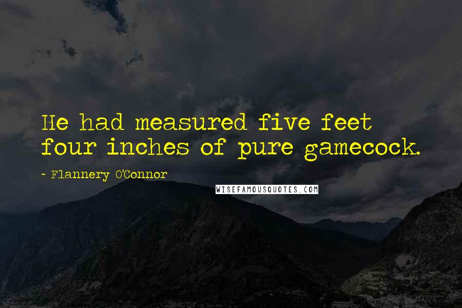 Flannery O'Connor Quotes: He had measured five feet four inches of pure gamecock.