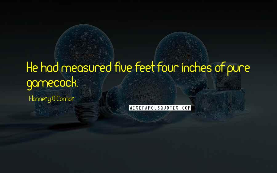 Flannery O'Connor Quotes: He had measured five feet four inches of pure gamecock.