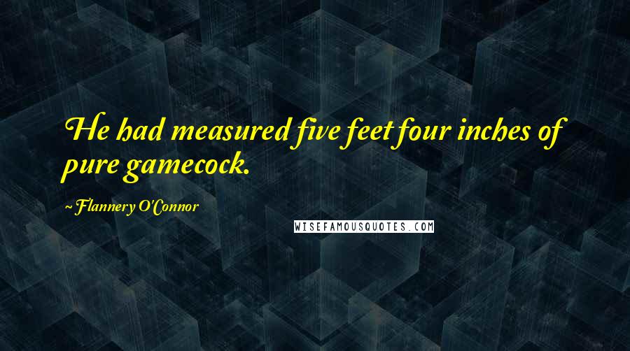 Flannery O'Connor Quotes: He had measured five feet four inches of pure gamecock.