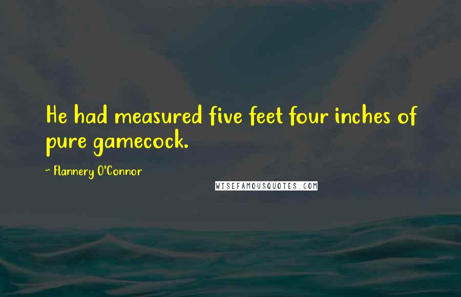 Flannery O'Connor Quotes: He had measured five feet four inches of pure gamecock.