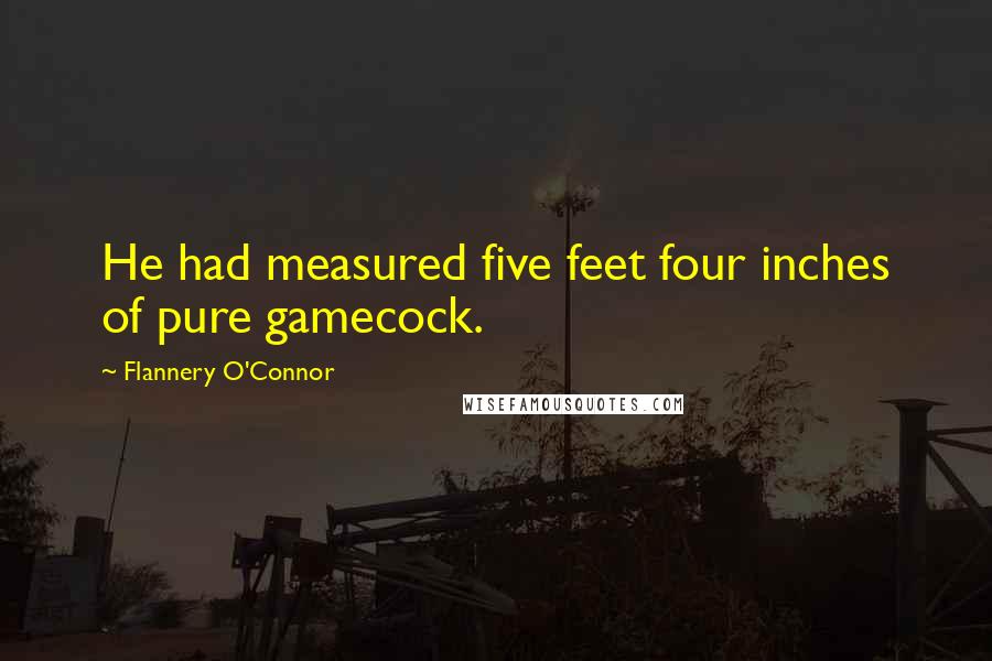 Flannery O'Connor Quotes: He had measured five feet four inches of pure gamecock.