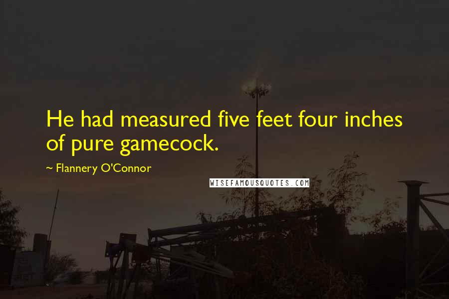 Flannery O'Connor Quotes: He had measured five feet four inches of pure gamecock.