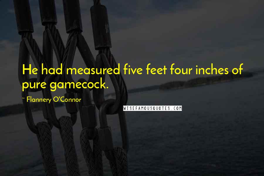 Flannery O'Connor Quotes: He had measured five feet four inches of pure gamecock.