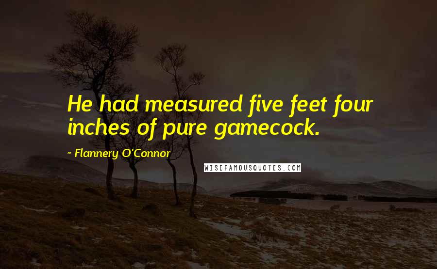 Flannery O'Connor Quotes: He had measured five feet four inches of pure gamecock.