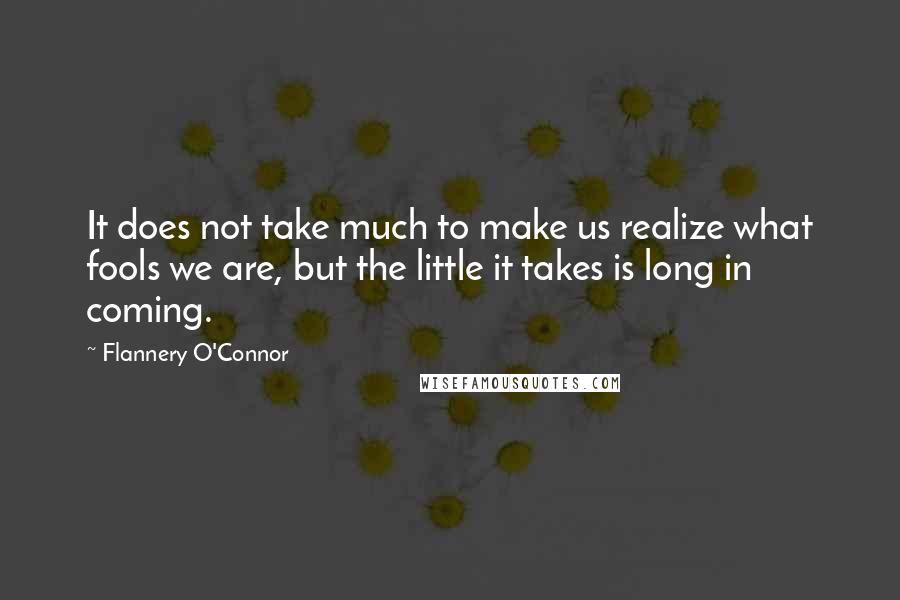 Flannery O'Connor Quotes: It does not take much to make us realize what fools we are, but the little it takes is long in coming.