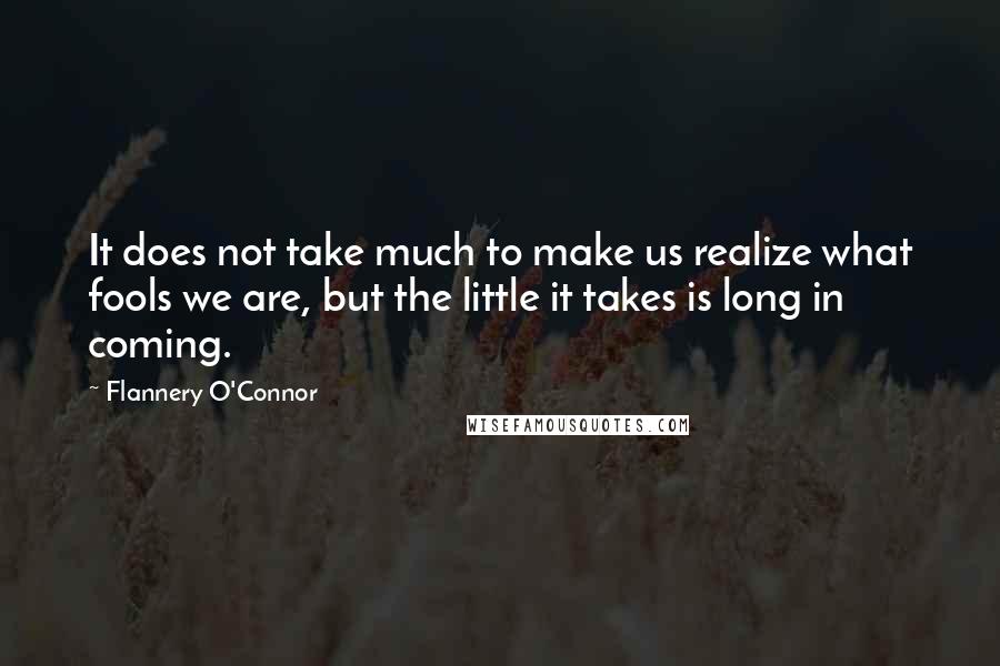 Flannery O'Connor Quotes: It does not take much to make us realize what fools we are, but the little it takes is long in coming.
