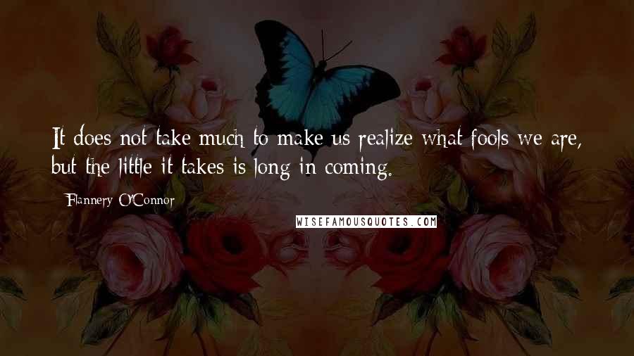 Flannery O'Connor Quotes: It does not take much to make us realize what fools we are, but the little it takes is long in coming.