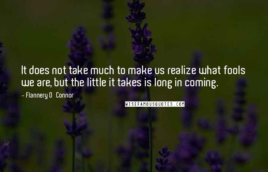 Flannery O'Connor Quotes: It does not take much to make us realize what fools we are, but the little it takes is long in coming.