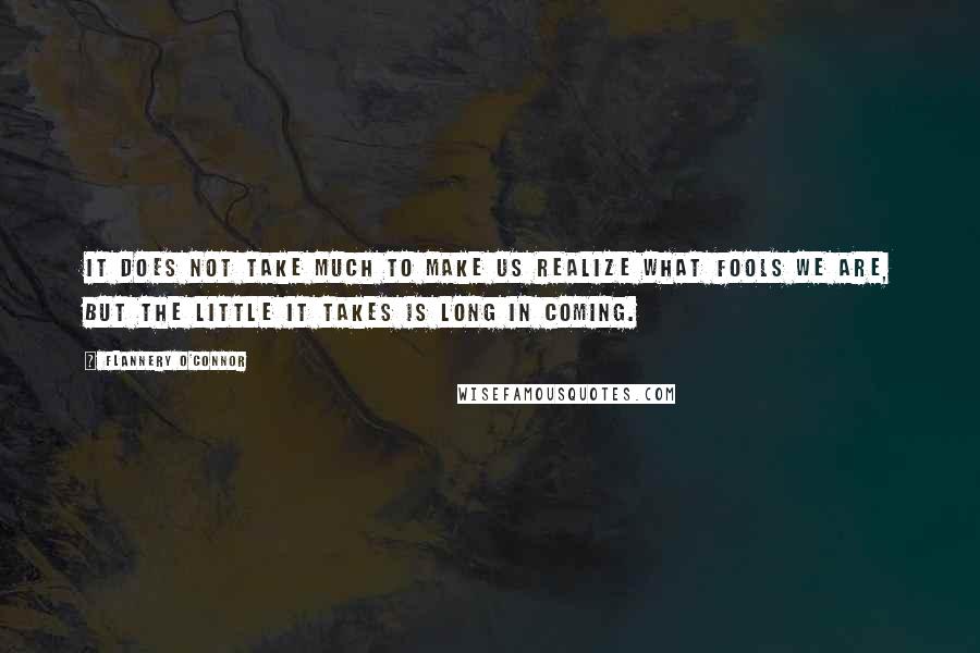 Flannery O'Connor Quotes: It does not take much to make us realize what fools we are, but the little it takes is long in coming.