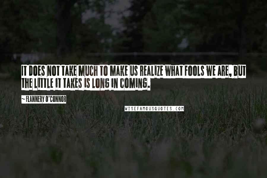 Flannery O'Connor Quotes: It does not take much to make us realize what fools we are, but the little it takes is long in coming.