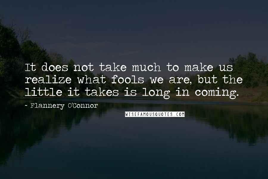 Flannery O'Connor Quotes: It does not take much to make us realize what fools we are, but the little it takes is long in coming.