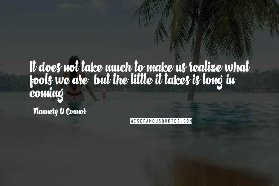 Flannery O'Connor Quotes: It does not take much to make us realize what fools we are, but the little it takes is long in coming.