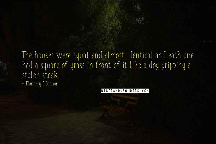 Flannery O'Connor Quotes: The houses were squat and almost identical and each one had a square of grass in front of it like a dog gripping a stolen steak.