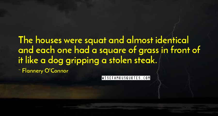 Flannery O'Connor Quotes: The houses were squat and almost identical and each one had a square of grass in front of it like a dog gripping a stolen steak.