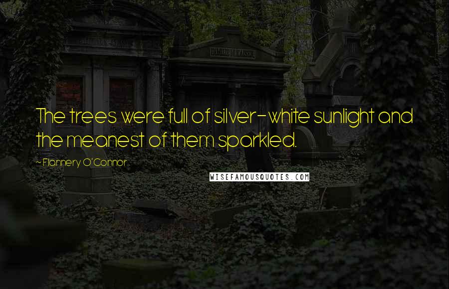 Flannery O'Connor Quotes: The trees were full of silver-white sunlight and the meanest of them sparkled.